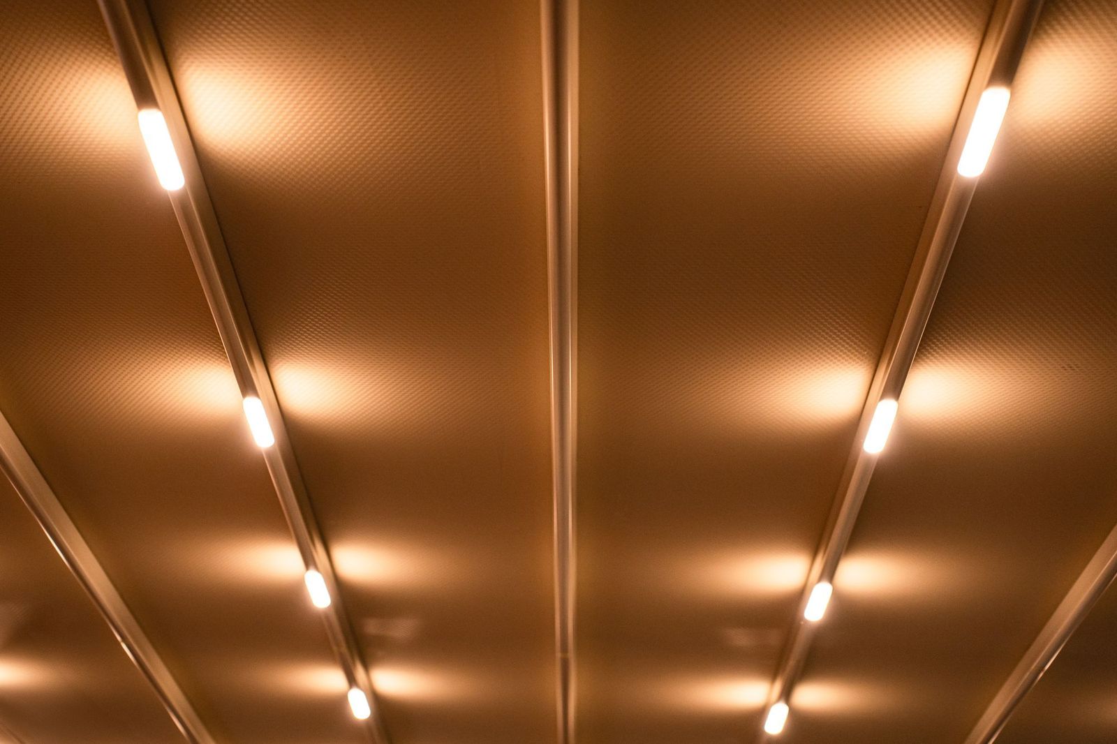 Plafond équipé de luminaires linéaires, détail de finition d'un aménagement d'espace professionnel